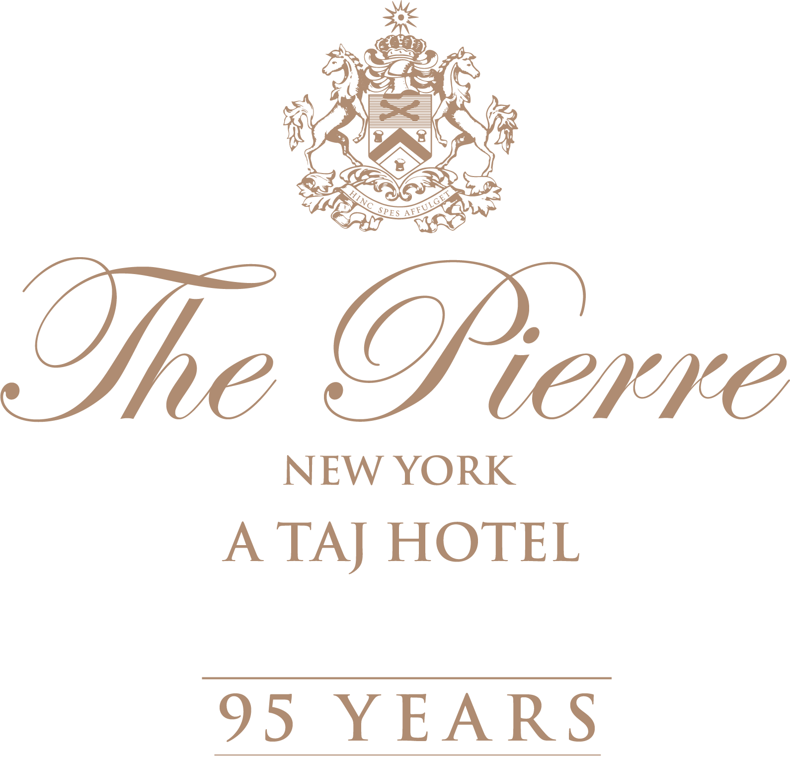 logo pierre 25 years